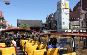 tokyo sightseeing tours